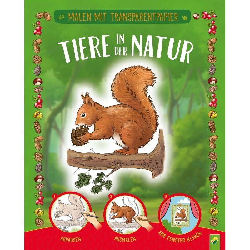 Malen Mit Transparentpapier:  Tiere In Der Natur - Schwager & Steinlein Verlag, Kartoniert (TB) von Schwager & Steinlein