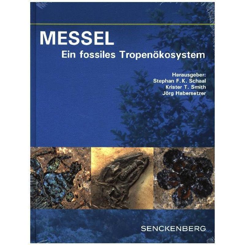 Messel - Ein Fossiles Tropenökosystem, Gebunden von Schweizerbart'sche Verlagsbuchhandlung