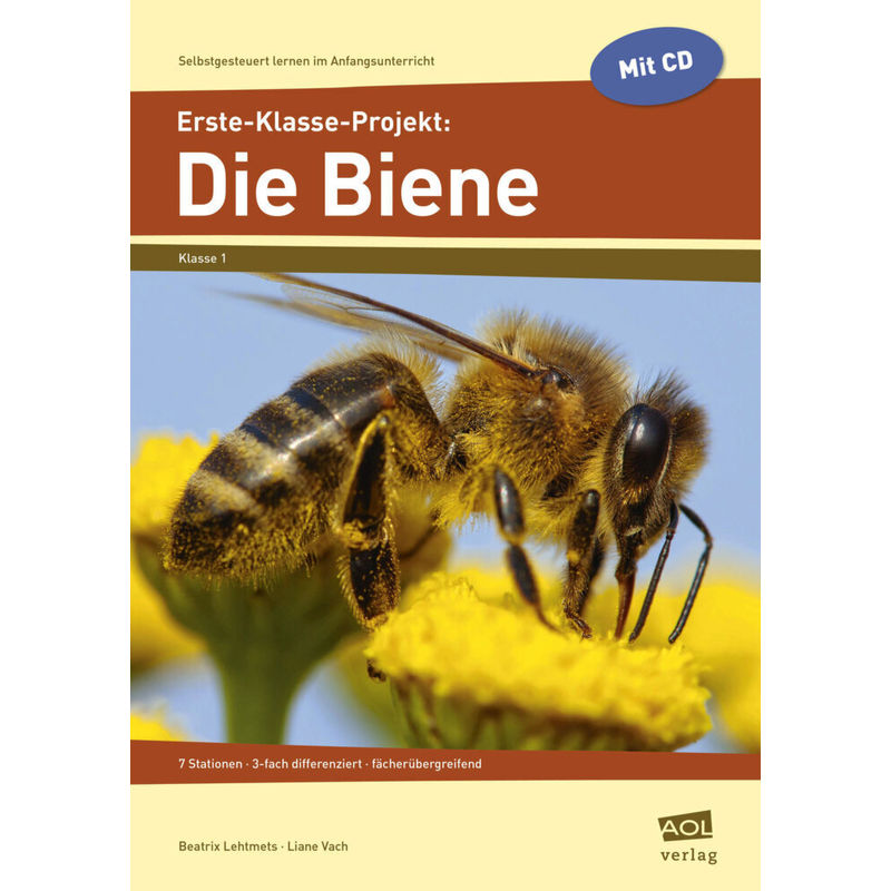 Erste-Klasse-Projekt: Die Biene, M. 1 Cd-Rom - Beatrix Lehtmets, Liane Vach, Geheftet von Scolix