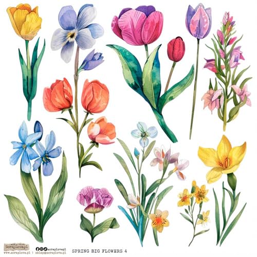 Scrapbooking Papier Sticker - ScrapLove - Spring Big Flowers 4 Blumen Tulpen von ScrapLove