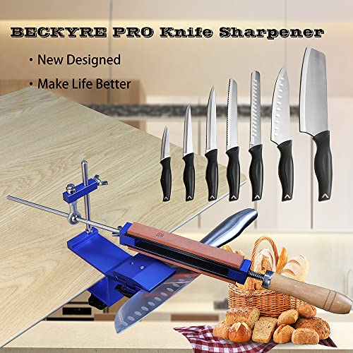 Professioneller Fixwinkel -WHETSTONE MORK MAKE MACHING TRAGABLE Cutter Spitzer Effizientes Küchenschärfen mit schnellem Klemmdesign für Home -Köche Edelstahl Aluminiumlegierung (Einstellen a) von Segrehy
