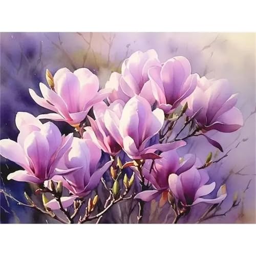 Malen Nach Zahlen Erwachsene Magnolie Lila, Malen nach Zahlen Kits, mit Pinseln und Acrylfarbe DIY Ölgemälde Kit für Anfänger und Erwachsene - 40x50cm (DIY Rahmen) von Senbang