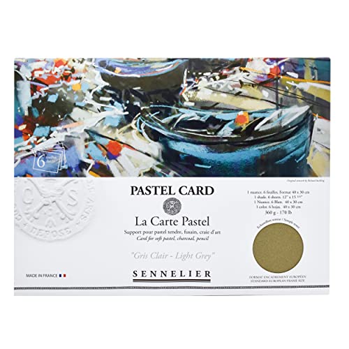SENNELIER La Carte Pochette, Pastell-Karte, 40 x 27,9 cm, einfarbig, Hellgrau von Sennelier