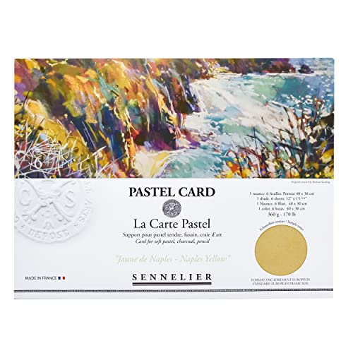 Sennelier La Carte Pastell Karten-Pochette, 40 x 27,9 cm, Monochromatisch, Neapelgelb von Sennelier