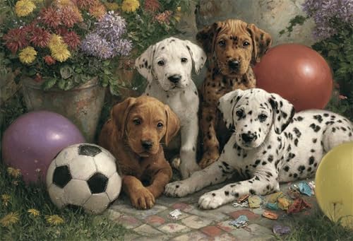 Malen Nach Zahlen für Erwachsene Anfänge Fußballhund,Paint by Numbers for Adult,DIY malen nach zahlen kits auf Leinwand mit Pinseln Acrylmalerei Kunsthandwerk für Zuhause 50x65cm(Ohne Rahmen) von Senyanr