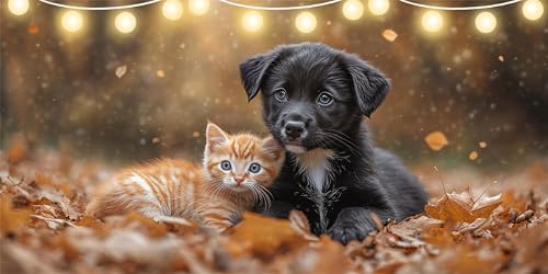 Diamond Painting Erwachsene Hund Diamond Painting Kinder Katze Full DIY Diamant Paintings Bilder, Mosaikherstellung Bastelset Kinder für ab 10 Jahre, Malen Nach Zahlen für Zimmer Deko 30x60cm FD-9212 Diamond Painting Erwachsene Hund Diamond Painting Kinder Katze Full DIY Diamant Paintings Bilder, Mosaikherstellung Bastelset Kinder für ab 10 Jahre, Malen Nach Zahlen für Zimmer Deko 30x60cm FD-9212 von Sepeoha