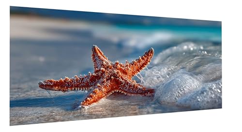 Diamond Painting Seestern Diamond Painting Erwachsene Meer Diamant Paintings Erwachsene Groß 55x110cm, Diamant Malerei Art Kits, Cross Stitch Stickerei Kunsthandwerk für Wanddeko Wohnzimmer FD-8425 Diamond Painting Seestern Diamond Painting Erwachsene Meer Diamant Paintings Erwachsene Groß 55x110cm, Diamant Malerei Art Kits, Cross Stitch Stickerei Kunsthandwerk für Wanddeko Wohnzimmer FD-8425 von Sepeoha