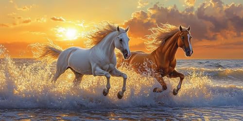 Sepwougg 5D DIY Diamond Painting Kits for Adults, Pferde Strand Vollbohrer Diamant Bilder mit Zubehör für Anfänger, Strass Kristall Stickerei Leinwand Kinder Erwachsene Dekorationen 70x90cm C476 von Sepwougg