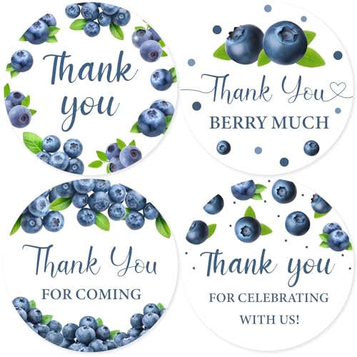 Serencatcher Blueberry Dankesaufkleber, 10 Blatt mit 8 Dankeskarten für Feiern mit uns, 4 Designs für Obst-Thema, Blaubeere, Geburtstag, Babyparty, Dekorationen, Partygeschenke Serencatcher Blueberry Dankesaufkleber, 10 Blatt mit 8 Dankeskarten für Feiern mit uns, 4 Designs für Obst-Thema, Blaubeere, Geburtstag, Babyparty, Dekorationen, Partygeschenke von Serencatcher