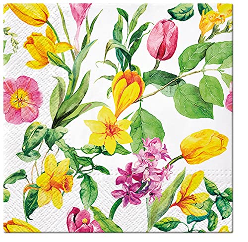 20 Servietten Narzissen & Tulpen | Blumen | basteln | Decoupage | floral | Fr?hjahr | Frühling | Sommer | Tischdeko 33x33cm 20 Servietten Narzissen & Tulpen | Blumen | basteln | Decoupage | floral | Fr?hjahr | Frühling | Sommer | Tischdeko 33x33cm von Serviette Blumen