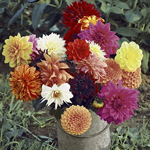 20 Servietten Dahlien im Eimer Blumen 33cm von Serviette Frühling Sommer