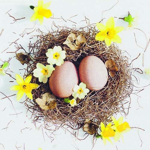 20 Servietten Eier im Osternest | Ostern | Tischdeko 33x33cm von Servietten Ostern