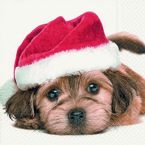 20 Servietten Niedlicher Weihnachtshund/Hund/Tiere/Winter/Weihnachten 33x33cm von Servietten Weihnachten