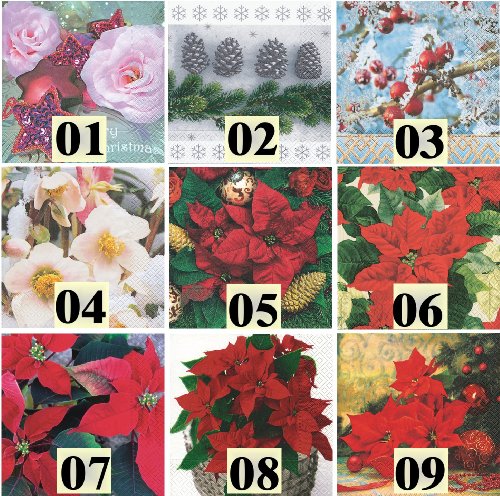 20 Servietten Weihnachten Motiv Auswahl möglich Euphorbia pulcherrima - strahlender Weihnachtsstern 33x33cm von Servietten Weihnachten