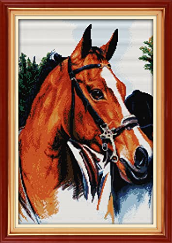 Setoda Kreuzstich-Set DMC Stickgarn, Figurenmuster, unbedrucktes Muster, Sticksets (gezählte Kits, Vollblutpferd, 14 Karat, 35,8 x 50,7 cm) von Setoda