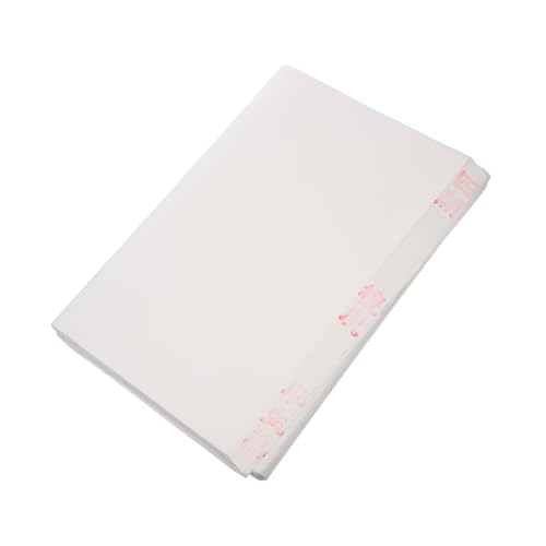 Sewroro 100 Stück Xuan-papier Chinesisches Kalligraphiepapier für Pinsel und Tinte Feuchtigkeitsabsorbierend Vielseitig für Chinesische Malerei Kalligrafie und Sumi-malerei Traditionelle Sewroro 100 Stück Xuan-papier Chinesisches Kalligraphiepapier für Pinsel und Tinte Feuchtigkeitsabsorbierend Vielseitig für Chinesische Malerei Kalligrafie und Sumi-malerei Traditionelle von Sewroro