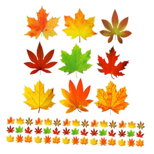 Sewroro 135 Stück Ahornblatt Papierschnitt Ausschnitte Teiliges in Farben für Herbstdeko Diy Projekte und Thanksgiving Feiern Lebendige und Fade Resistente Deko für Schule Büro und Zuhause Sewroro 135 Stück Ahornblatt Papierschnitt Ausschnitte Teiliges in Farben für Herbstdeko Diy Projekte und Thanksgiving Feiern Lebendige und Fade Resistente Deko für Schule Büro und Zuhause von Sewroro