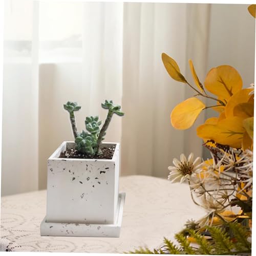 Sewroro Silikon Blumentopf Gießform DIY Vase und Pflanzgefäß Form mit Untersetzer Leichte Flexible Pflanzgefäßform für Basteln Einfach zu Verwenden für Zuhause und Hobby Sewroro Silikon Blumentopf Gießform DIY Vase und Pflanzgefäß Form mit Untersetzer Leichte Flexible Pflanzgefäßform für Basteln Einfach zu Verwenden für Zuhause und Hobby von Sewroro
