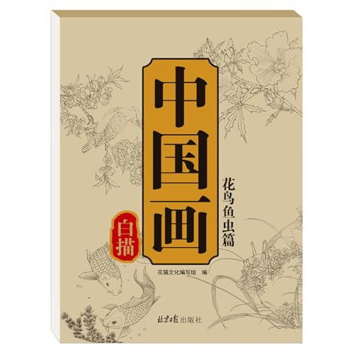 Sghtil Kopieralbum für chinesische Malerei, weißes Zeichen-Kopieralbum, Graffiti-Malbuch, tragbares Anfänger-Skizzenbuch, Funny Art Supplies for Home, Studio, School von Sghtil