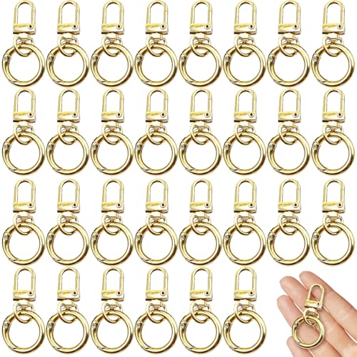 30 pcs Schlüsselbundclip, 360-Grad-Rotatable-Schwenk-Schnapphaken mit runden Ring, Zinklegungsschurkenklauenverschließung für Schlüsselanhänger, Lanyards, Rucksäcke, Haustierleine, DIY-Keychain-Clip- von Sgqtqybk
