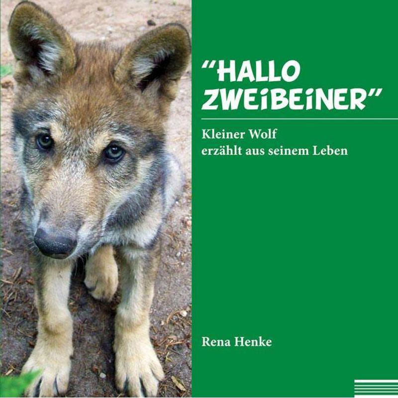 "Hallo Zweibeiner" - Rena Henke, Kartoniert (TB) von Shaker Media