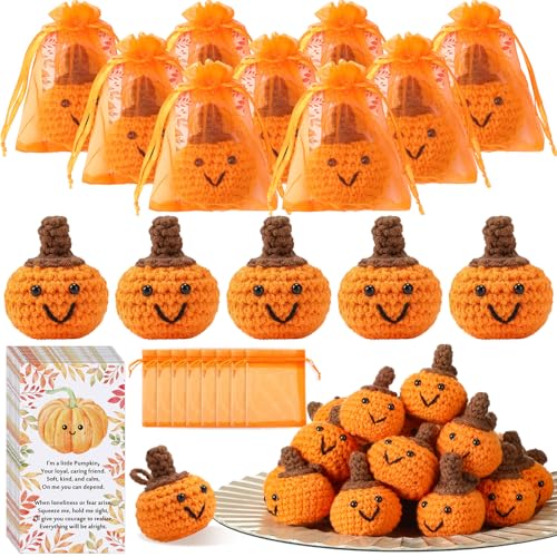 Shappy 50 Sets Herbst-Kürbisse, Großpackung, Smiley, künstliche Häkelkürbisse, Schlüsselanhänger mit positiven Grußkarten, Organza-Beutel, kleine Neuheit, Erntedankfest, Ernte, Party, Gastgeschenke von Shappy
