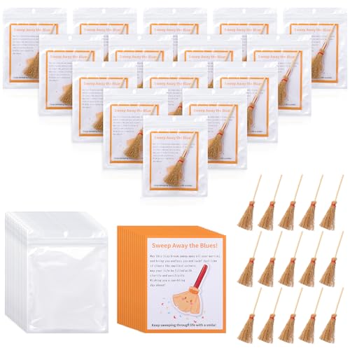 Shappy Positive Karten mit Mini-Strohbesen, emotionale Ermutigung, Unterstützung, Geschenk mit inspirierenden Karten, Geschenk für Party-Dekorationen, Mitarbeiter, Freunde, Familie, Teenager Shappy Positive Karten mit Mini-Strohbesen, emotionale Ermutigung, Unterstützung, Geschenk mit inspirierenden Karten, Geschenk für Party-Dekorationen, Mitarbeiter, Freunde, Familie, Teenager von Shappy