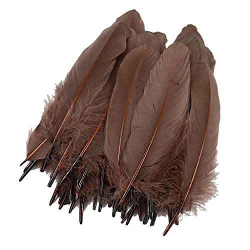 Sharplace 50 Natürliche Gänsefedern Weihnachten Tracht Ohrringe Dekorative Materialien Feder 5 8, Braun, 120-200 mm von Sharplace