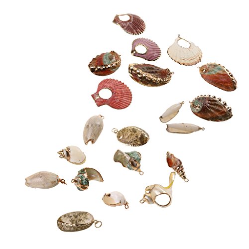 Strand Muschel Meer Shell Perlen Charms Anhänger für Armband Kette Ohrring Schmuckherstellung von Sharplace