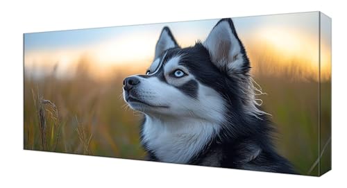 Diamond Painting Kinder, Tier Wolf Großes XXL 80x160cm Diamond Painting Erwachsene Zubehör, 5D DIY Strass Stickerei Kreuzstich Diamant Kunst Kits, Kreativ Set für Erwachsene Home Wand Dekoration J-210 von Shejyn