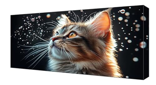 Diamond Painting Kinder, Traum Katze Großes XXL 25x50cm Diamond Painting Erwachsene Zubehör, 5D DIY Strass Stickerei Kreuzstich Diamant Kunst Kits,Kreativ Set für Erwachsene Home Wand Dekoration J-254 von Shejyn