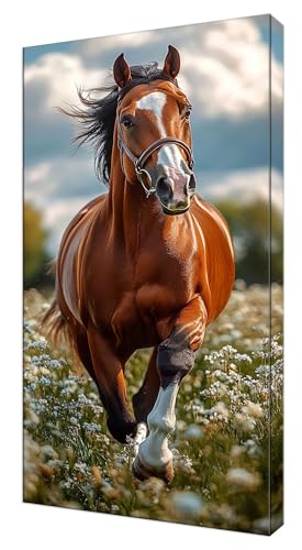 Diamond Painting Kinder, Wiese Pferd Großes XXL 80x160cm Diamond Painting Erwachsene Zubehör, 5D DIY Strass Stickerei Kreuzstich Diamant Kunst Kits, Kreativ Set Erwachsene Home Wand Dekoration J-540 von Shejyn