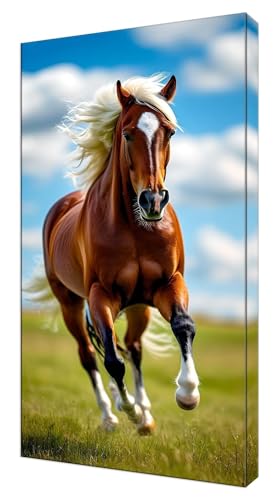 Diamond Painting Kinder, Wiese Pferd Großes XXL 80x160cm Diamond Painting Erwachsene Zubehör, 5D DIY Strass Stickerei Kreuzstich Diamant Kunst Kits, Kreativ Set Erwachsene Home Wand Dekoration J-541 von Shejyn