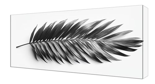 Diamond Painting Schwarz Feder, Groß XXL Diamond Painting Zubehör, 5D DIY Full Drill Diamanten Kinder Set, Bastelset Erwachsene und Anfänger, Mosaikherstellung, für Wohnzimmer Wand Deko 70x140cm J-211 von Shejyn