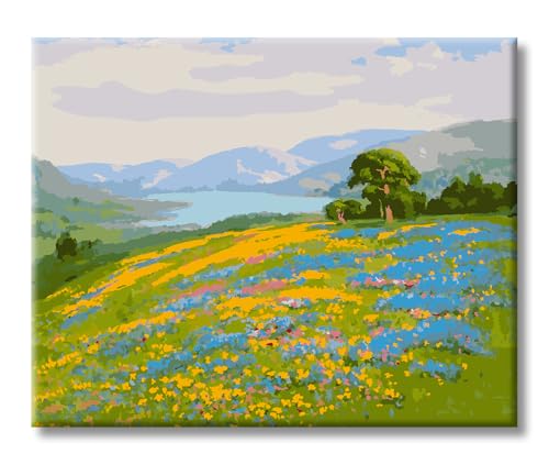 ShengDexin Blumen Malen Nach Zahlen Erwachsene, Paint By Numbers Landschaft Knitterfreie Leinwand Bilder 40x50cm, diy Gemälde Set mit Pinseln und Acrylfarbe als Geschenk für Wanddeko ShengDexin Blumen Malen Nach Zahlen Erwachsene, Paint By Numbers Landschaft Knitterfreie Leinwand Bilder 40x50cm, diy Gemälde Set mit Pinseln und Acrylfarbe als Geschenk für Wanddeko von ShengDexin