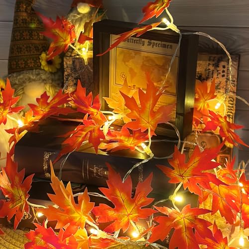 Shengruili Ahornblatt Lichterkette,Ahornblätter Lichterketten Dekoration,1.5M 10 LED Ahornblatt Lichterketten,Herbst Lichterkette,Herbst Girlande Batteriebetrieben,Herbst ahornblatt Girlande Lichtern Shengruili Ahornblatt Lichterkette,Ahornblätter Lichterketten Dekoration,1.5M 10 LED Ahornblatt Lichterketten,Herbst Lichterkette,Herbst Girlande Batteriebetrieben,Herbst ahornblatt Girlande Lichtern von Shengruili