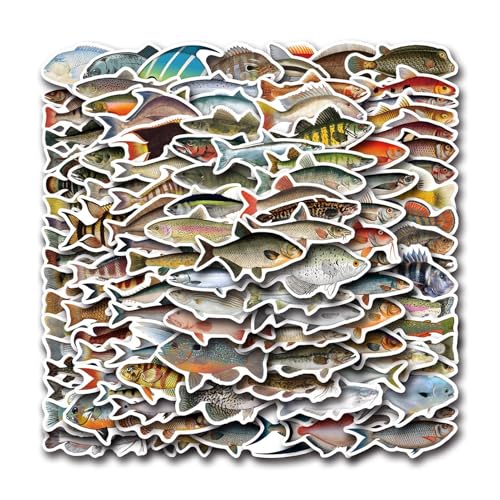Lustige Fisch-Aufkleber, 110 x Angel-Aufkleber, Laptop-Aufkleber, wasserdicht, für Gitarre, Skateboard, Telefon, Computer, Klassenzimmerpreise Lustige Fisch-Aufkleber, 110 x Angel-Aufkleber, Laptop-Aufkleber, wasserdicht, für Gitarre, Skateboard, Telefon, Computer, Klassenzimmerpreise von Shenrongtong