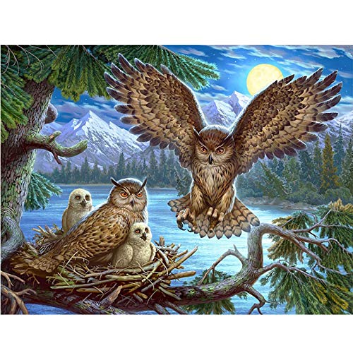Showker 5D Diamant Painting BilderEule Mond Tiere, DIY Diamond Painting Bilder Zubehör Runde Diamond Kreuzstich Stickerei Dekoration Schlafzimmer Büro Home Wandbild 30x40cm Showker 5D Diamant Painting BilderEule Mond Tiere, DIY Diamond Painting Bilder Zubehör Runde Diamond Kreuzstich Stickerei Dekoration Schlafzimmer Büro Home Wandbild 30x40cm von Showker