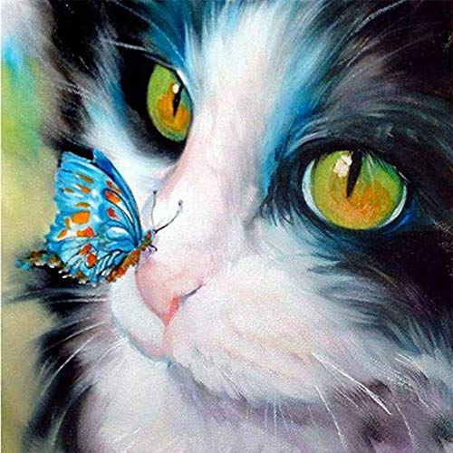 Showker 5D Diamant Painting BilderKatze Kätzchen Schmetterlinge Tiere, DIY Diamond Painting Bilder Zubehör Runde Diamond Kreuzstich Stickerei Dekoration Schlafzimmer Büro Home Wandbild 35x35cm von Showker