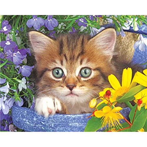 Showker 5D Diamant Painting BilderKatze Kätzchen Tiere, DIY Diamond Painting Bilder Zubehör Runde Diamond Kreuzstich Stickerei Dekoration Schlafzimmer Büro Home Wandbild 30x40cm Showker 5D Diamant Painting BilderKatze Kätzchen Tiere, DIY Diamond Painting Bilder Zubehör Runde Diamond Kreuzstich Stickerei Dekoration Schlafzimmer Büro Home Wandbild 30x40cm von Showker