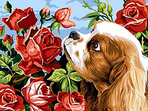 Showker 5D Diamant Painting BilderTier Hund, DIY Diamond Painting Bilder Zubehör Runde Diamond Kreuzstich Stickerei Dekoration Schlafzimmer Büro Home Wandbild 30x40cm von Showker