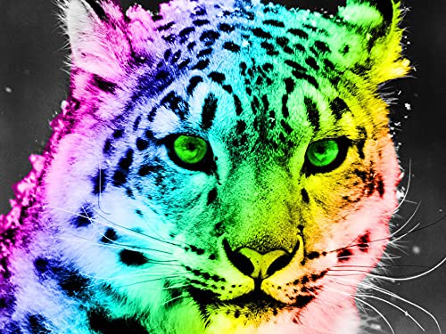 Showker 5D Diamant Painting BilderTiger Bunte Tiere, DIY Diamond Painting Bilder Zubehör Runde Diamond Kreuzstich Stickerei Dekoration Schlafzimmer Büro Home Wandbild 35x35cm Showker 5D Diamant Painting BilderTiger Bunte Tiere, DIY Diamond Painting Bilder Zubehör Runde Diamond Kreuzstich Stickerei Dekoration Schlafzimmer Büro Home Wandbild 35x35cm von Showker