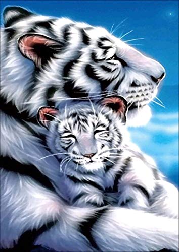 Showker 5D Diamant Painting BilderTiger Tiere, DIY Diamond Painting Bilder Zubehör Runde Diamond Kreuzstich Stickerei Dekoration Schlafzimmer Büro Home Wandbild 30x40cm von Showker