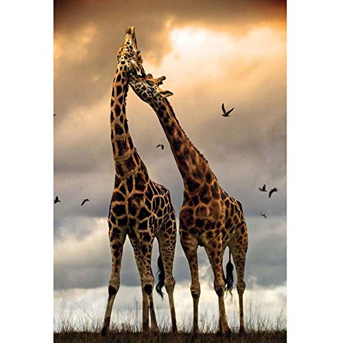 Showker DIY Diamant-Stickerei, komplettes Set, Afrika Giraffe, 5D Diamond Painting, komplettes Bild, Wiese, Tiere, rund, Kreuzstich, Stickerei, Dekoration, Zimmer, Büro, Wand zu Hause, 30 x 40 cm von Showker