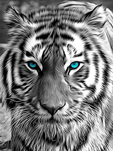 Showker DIY Diamant-Stickerei, komplettes Set, Tiger, Tier, 5D Diamond Painting, komplett, rund, Kreuzstich, Stickerei, Dekoration, Zimmer, Büro, Wand zu Hause, 30 x 40 cm Showker DIY Diamant-Stickerei, komplettes Set, Tiger, Tier, 5D Diamond Painting, komplett, rund, Kreuzstich, Stickerei, Dekoration, Zimmer, Büro, Wand zu Hause, 30 x 40 cm von Showker
