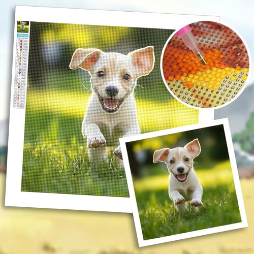 Diamond Painting Erwachsene, Diamond Painting Eigenes Foto, Bastelset Erwachsene, 5D DIY Kinder, Familien, Paare, Haustiere, Bilder Personalisiert, Custom Kreative Geschenk, Zimmer Deko 80x120 cm b-32 von Shozhoo