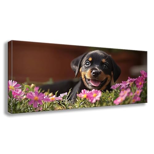 Diamond Painting Hund Diamond Painting Erwachsene Groß XXL 200x80 cm Diamant Malerei Bilder Blume 5D Rund Steine Stickerei Kreuzstich Basteln Erwachsene für Deko Wohnzimmer, Geschenke für Frauen S0-79 Diamond Painting Hund Diamond Painting Erwachsene Groß XXL 200x80 cm Diamant Malerei Bilder Blume 5D Rund Steine Stickerei Kreuzstich Basteln Erwachsene für Deko Wohnzimmer, Geschenke für Frauen S0-79 von Shueayin