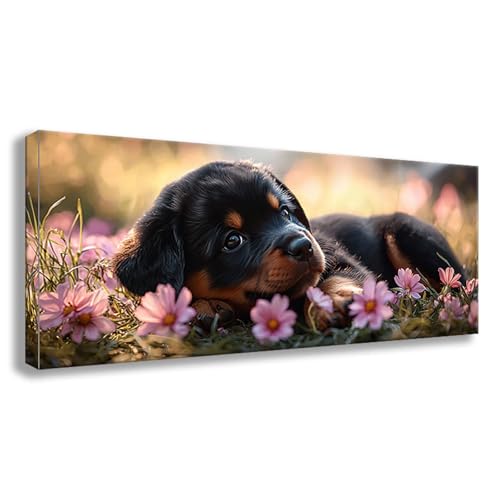 Diamond Painting XXL 175x70 cm Tier Diamant Painting Bilder Hund Diamond Art DIY Vollbohrer Diamant Malerei Basteln Mädchen 10 Jahre, Strass Stickerei Mosaikherstellung für Zimmer Deko Geschenke S0-80 Diamond Painting XXL 175x70 cm Tier Diamant Painting Bilder Hund Diamond Art DIY Vollbohrer Diamant Malerei Basteln Mädchen 10 Jahre, Strass Stickerei Mosaikherstellung für Zimmer Deko Geschenke S0-80 von Shueayin