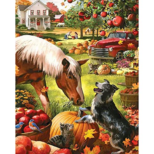 DIY Öl Malen nach Zahlen für Erwachsene, Öl Malen nach Zahlen Erwachsene Kit für Anfänger Malen – Ernte Bauernhof Pferd Hund Apfel – 40,6 x 50,8 cm (rahmenlos) von Shukqueen