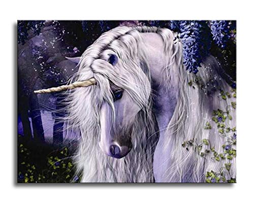 Shukqueen Malen nach Zahlen, DIY Ölgemälde für Erwachsene, Anfänger, Kinder, Feiertagsgeschenke, Einhorn, 16x20 Zoll (Ohne Rahmen) von Shukqueen